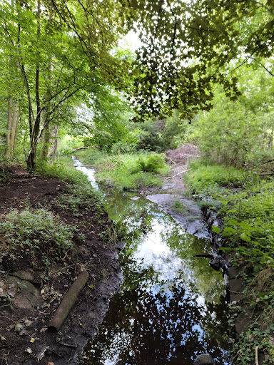 Ruschdahlmoor - Thumbnail