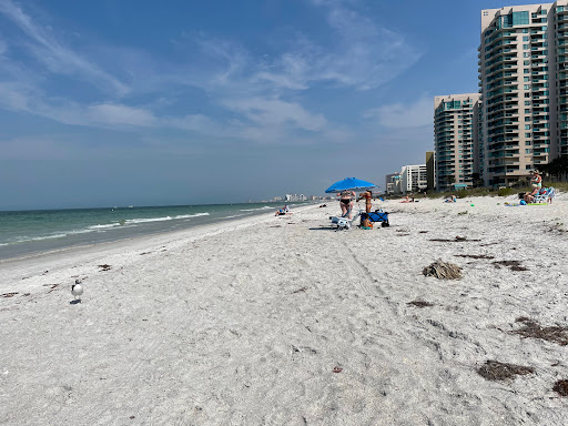 Bay Park on Sand Key