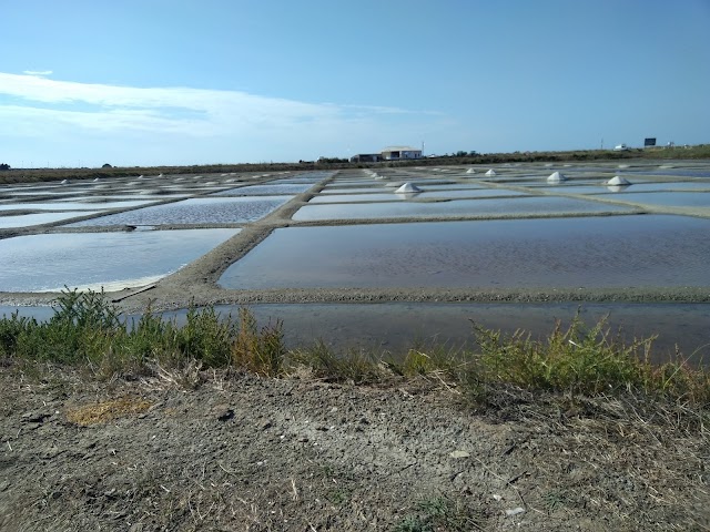 Marais Salants "La Bonne Pogne"