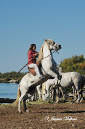 Photo n°5 de Bateau Le Camargue à Saintes-Maries-de-la-Mer (Agence d'excursions en bateau)