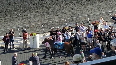 Photos of Arlington International Racecourse