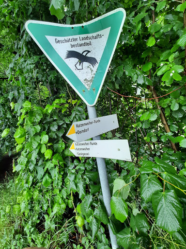 Katzenweiher - Visual