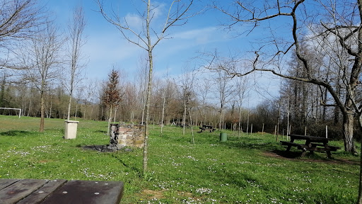 Area Recreativa Mazcuerras