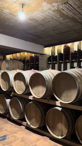 Vriniotis Winery - Κάβα