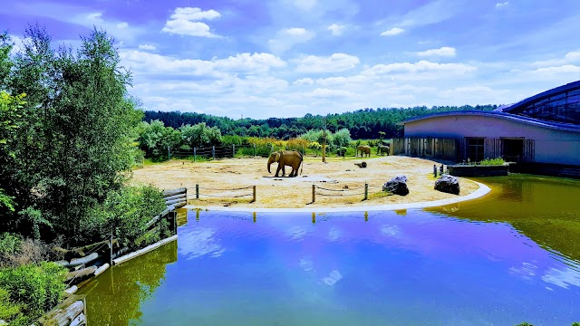 Nowe Zoo