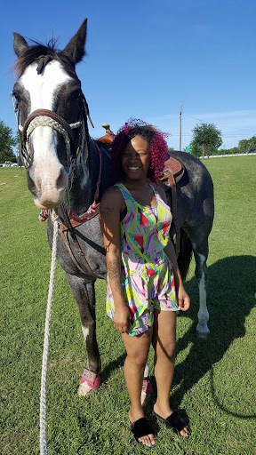 Twisted bit equine - Visual