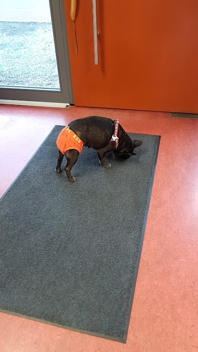 Photos of Dr. med.vet. Axel Kilo Tierarzt & Katzenpension