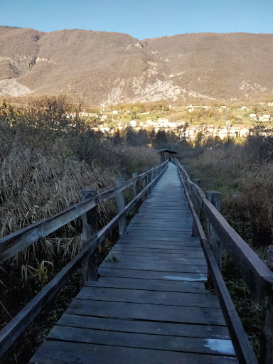 Passerella sul lago - Thumbnail