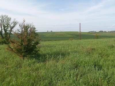 Jesse James Historical Site