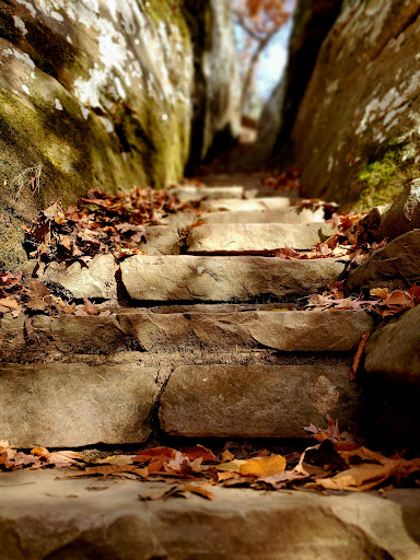 Sentry Bluff Trailhead - Thumbnail