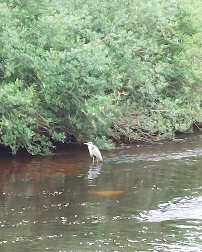 River Ure - Visual