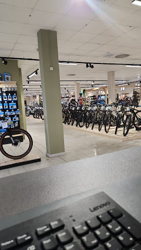 CUBE Store Potsdam - Thumbnail