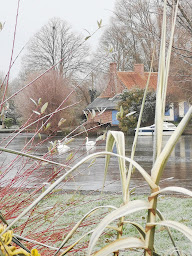 Photo n°7 de Camping du grand large à Salperwick (Terrain de camping)