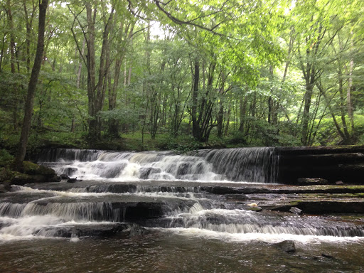 Clinch Mountain Wildlife Management Area