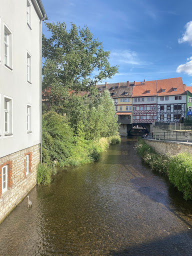 Dämmchen - Visual