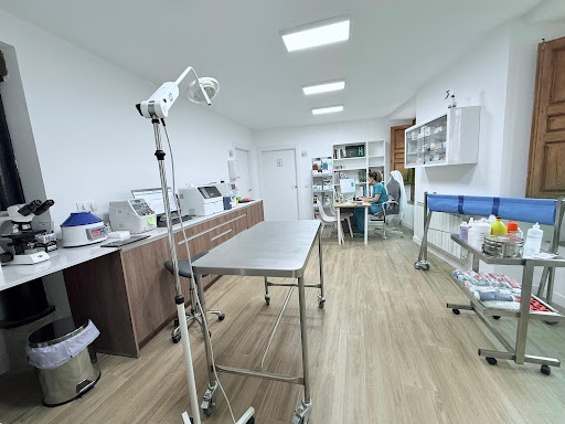 C.V. Cigales. Quirón Veterinarios.