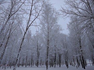 Photos of Гарадскі парк культуры і адпачынку