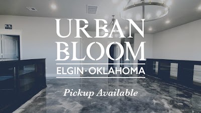 Urban Bloom