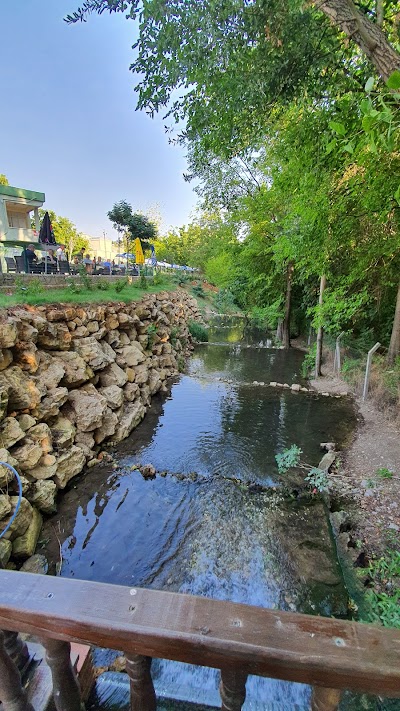 Cevizli Park Çay Bahçesi