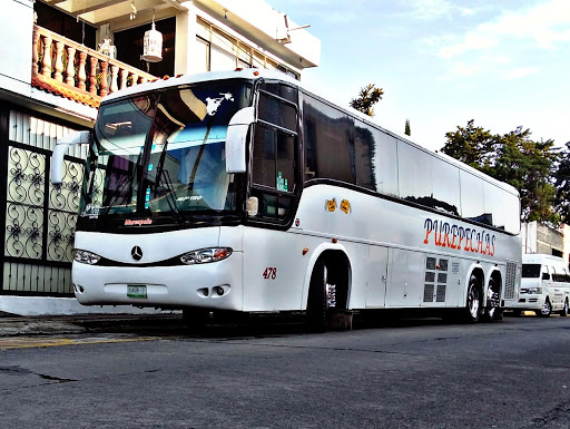 RENTA DE AUTOBUSES PUREPECHAS - Thumbnail