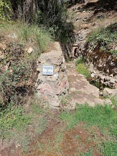 Manantial de La Veguilla