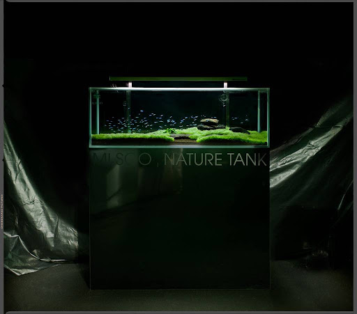 Mi Soo Nature Tank - Thumbnail