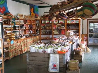 Photos of King Orchards