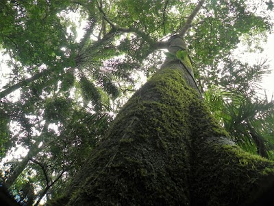Photos of Arubai - Reserva Privada del Patrimonio Natural