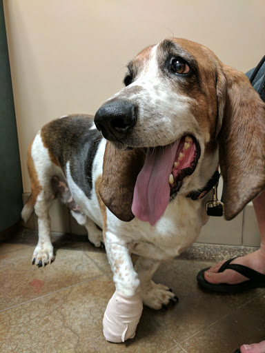 Sunset Canyon Veterinary Clinic - Thumbnail