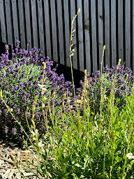 Photo n°40 de Le Clos Vercheron: Maison d'hôtes, Chambres d'hôtes avec piscine, Spa, Sauna et Hammam, à la campagne en Saône-et-Loire à Artaix (Spa)