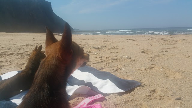 Praia da Fateixa