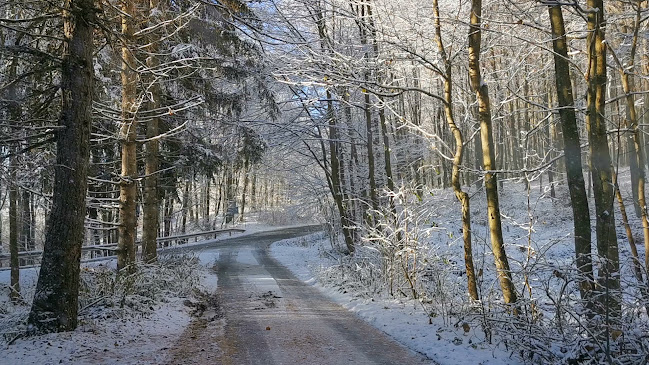 Bánya hegyi elágazás