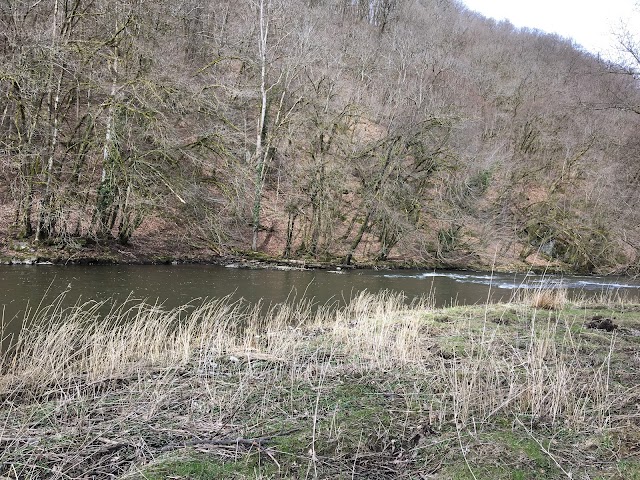 Le Hérou - Le Parc naturel des deux Ourthes