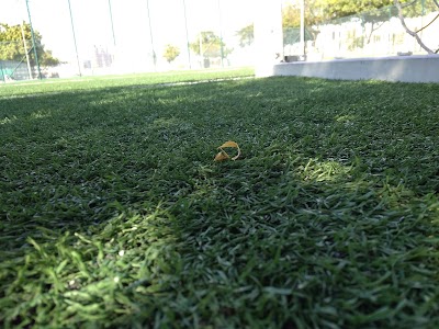 Photos of football field