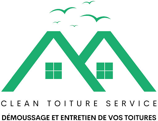 Clean Toiture Service - Thumbnail