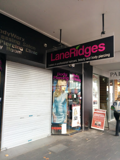 LaneRidges - Visual