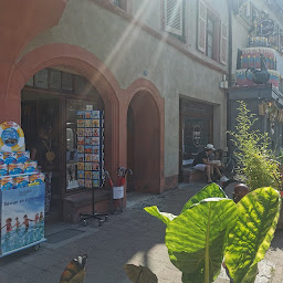 Photo n°1 de Librairie Bisey Thann à Thann (Librairie)