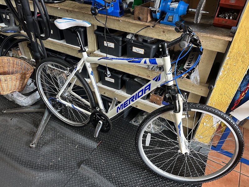 Seaside Cycles photo 2