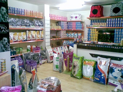 Photos of minipat pet shop