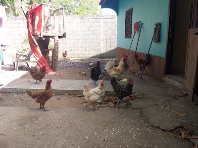 Photos of Campo Barrio Abajo