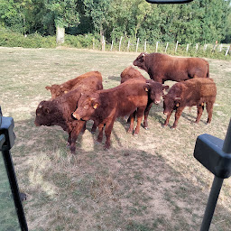 Photo n°39 de Duquerroy Alice Jacques à Exideuil-sur-Vienne (Ferme)