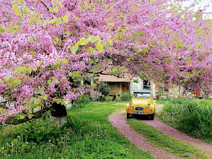 Photo n°11 de Les Jardins de Félicie à Poses (Gîte)