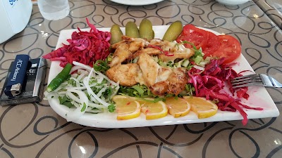 Photos of Mally Agha 2