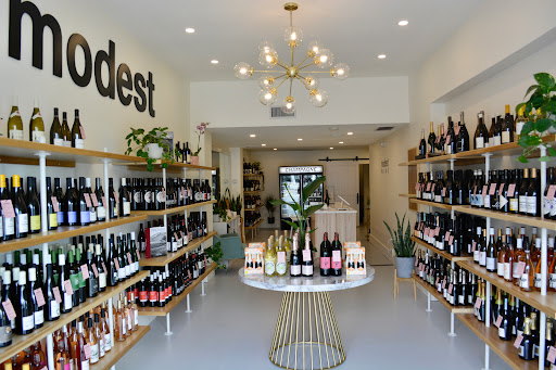 Modest Wine - Visual