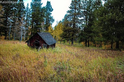 Squirrel Creek Elk Ranch