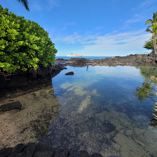 Tidal Pool - Visual