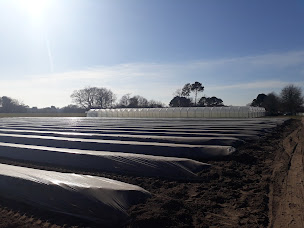 Photo n°8 de Ferme Villenave Tosse à Tosse (Magasin de produits de la ferme)