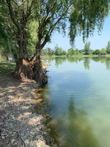 Lac de la Gravette Gallery - France