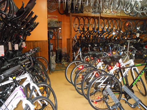 Action Cycle Sport 2