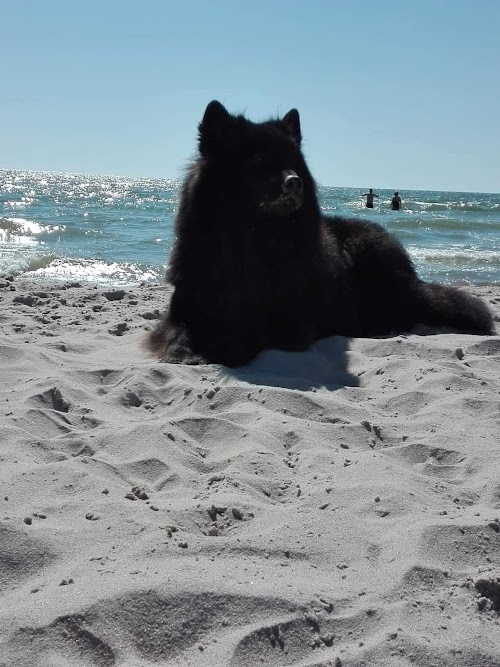 Nemirsetos paplūdimys